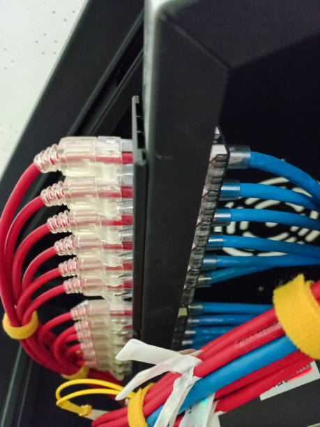 crome //net-internals/#dns
